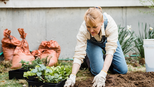 Best Amazon Deals on Gardening Essentials