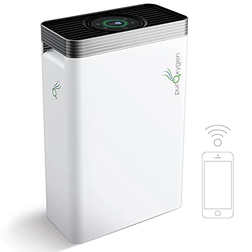 P500i Air Purifiers for Home with H13 HEPA Filter, for Large Rooms up to 2700 sq ft, WiFi Control, Sleep Mode, Child Lock - Pet Dander, Dust, Hair, Smells, Air Cleaner for Office, Bedroom, Living Room